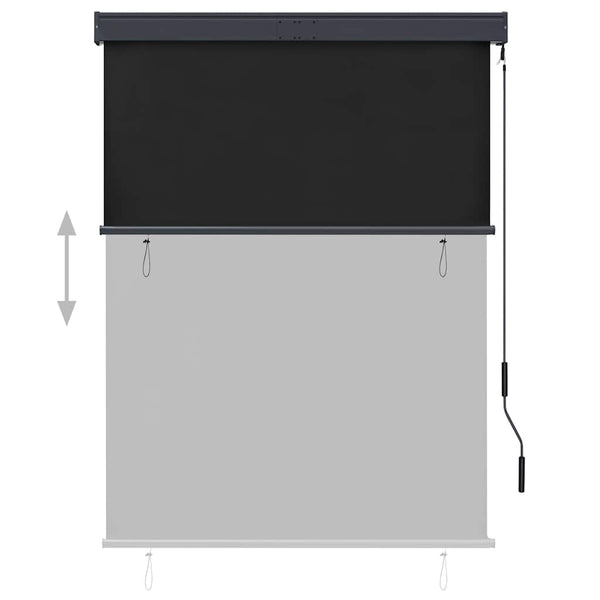 vidaXL Store d'extérieur 120 x 250 cm Anthracite