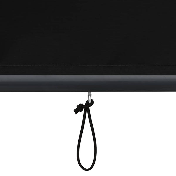 vidaXL Store d'extérieur 120 x 250 cm Anthracite