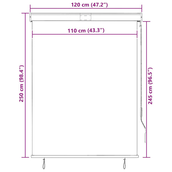 vidaXL Store d'extérieur 120 x 250 cm Anthracite