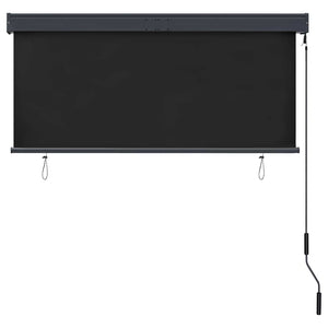vidaXL Store extérieur 140x250 cm Anthracite