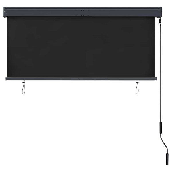 vidaXL Store extérieur 140x250 cm Anthracite