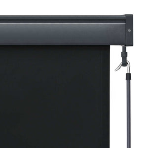vidaXL Store extérieur 140x250 cm Anthracite