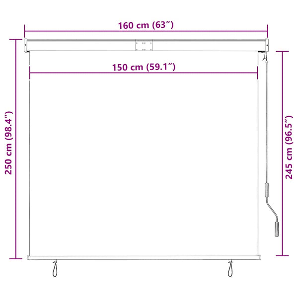 Außenrollo 160x250 cm Blau und Weiß