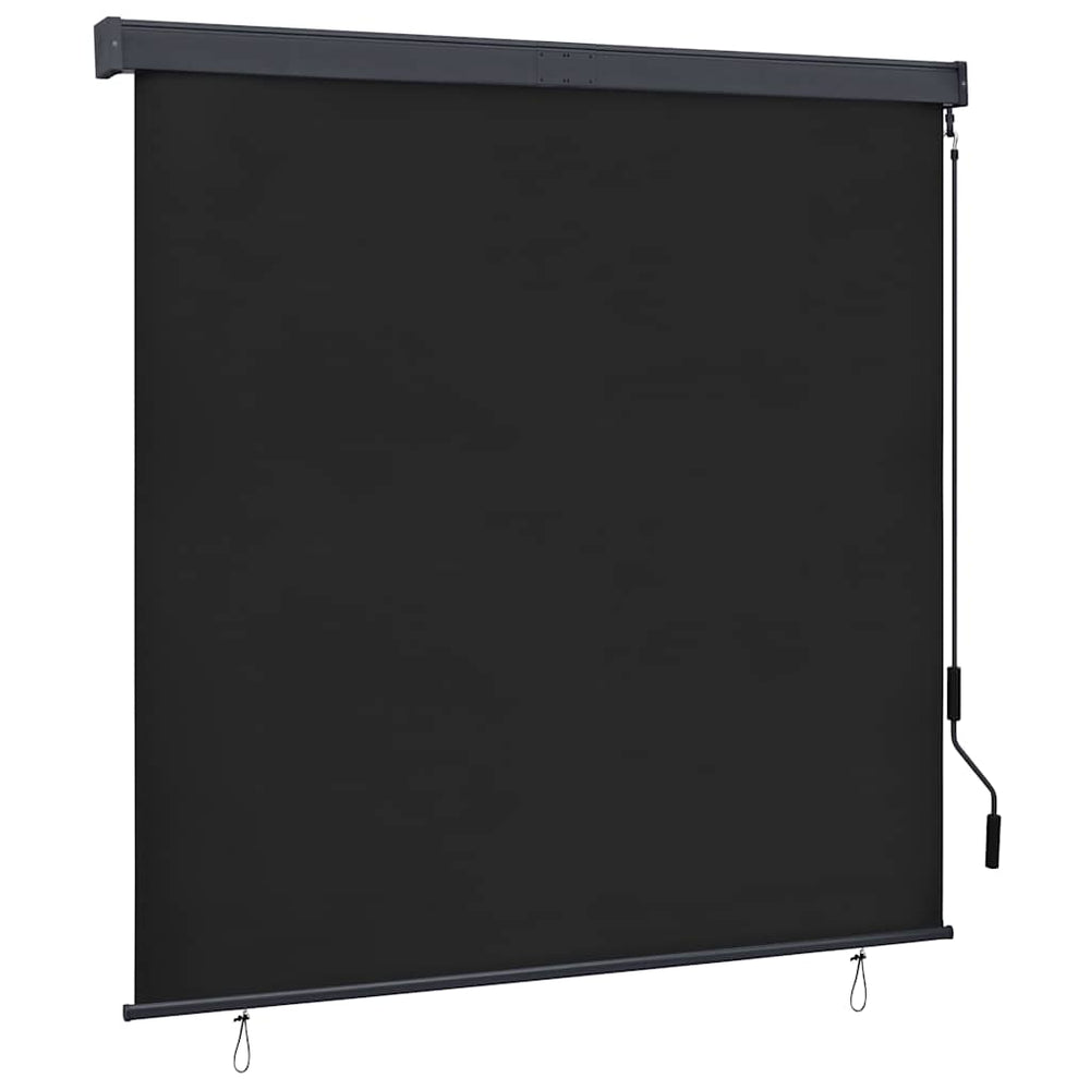 vidaXL Store extérieur 160x250 cm Anthracite