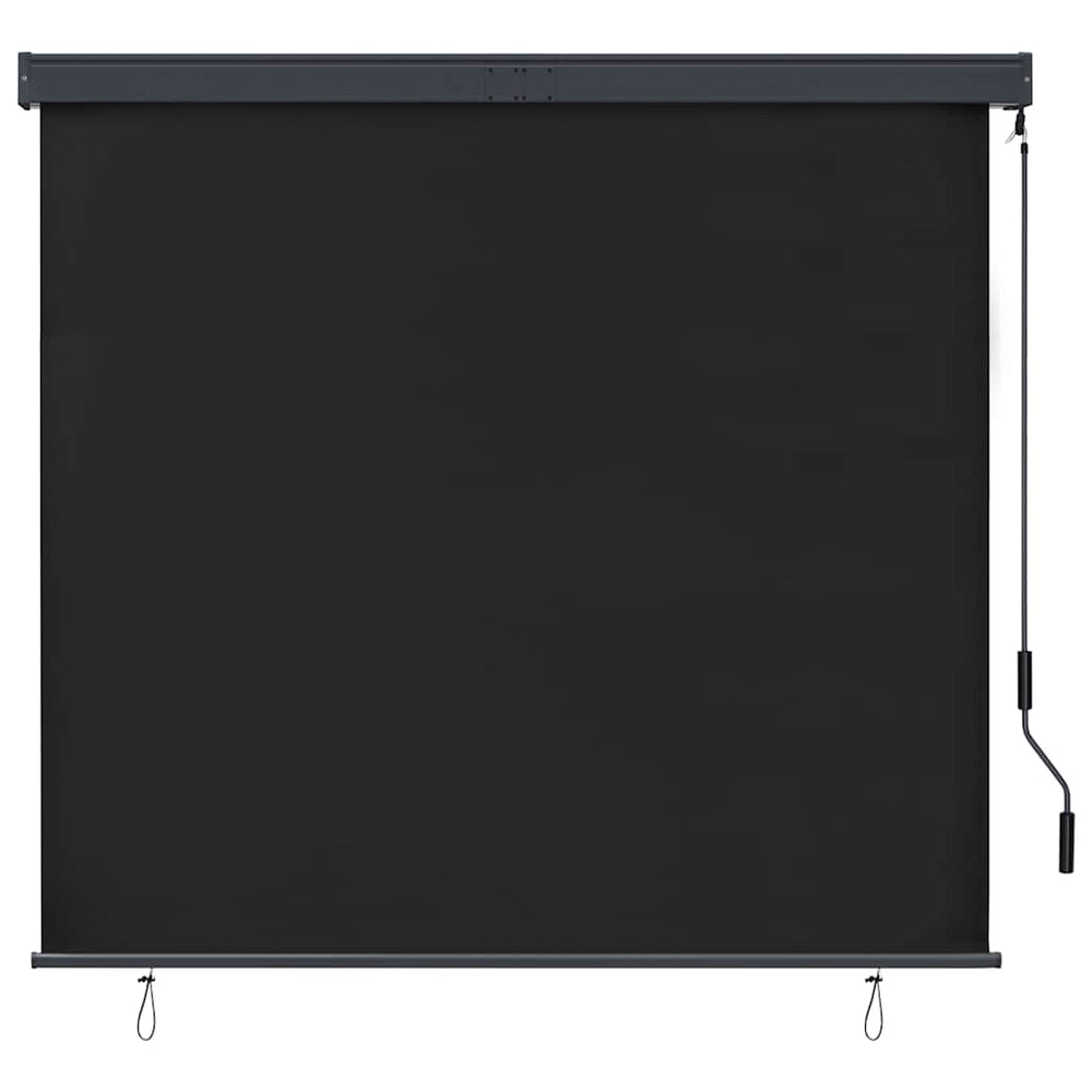 vidaXL Store extérieur 160x250 cm Anthracite