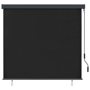 vidaXL Store extérieur 160x250 cm Anthracite