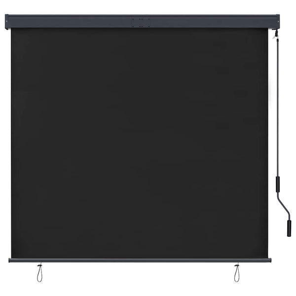 vidaXL Store extérieur 160x250 cm Anthracite