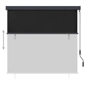 vidaXL Store extérieur 160x250 cm Anthracite