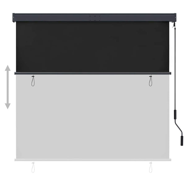 vidaXL Store extérieur 160x250 cm Anthracite