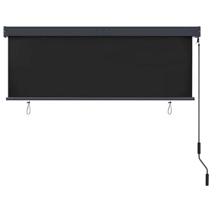 vidaXL Store extérieur 160x250 cm Anthracite