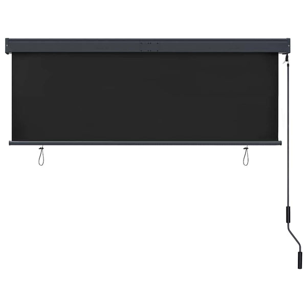 vidaXL Store extérieur 160x250 cm Anthracite