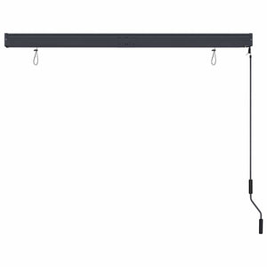 vidaXL Store extérieur 160x250 cm Anthracite