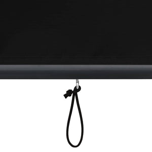 vidaXL Store extérieur 160x250 cm Anthracite