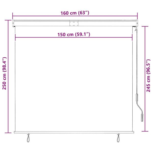 vidaXL Store d'extérieur 160x250 cm Crème