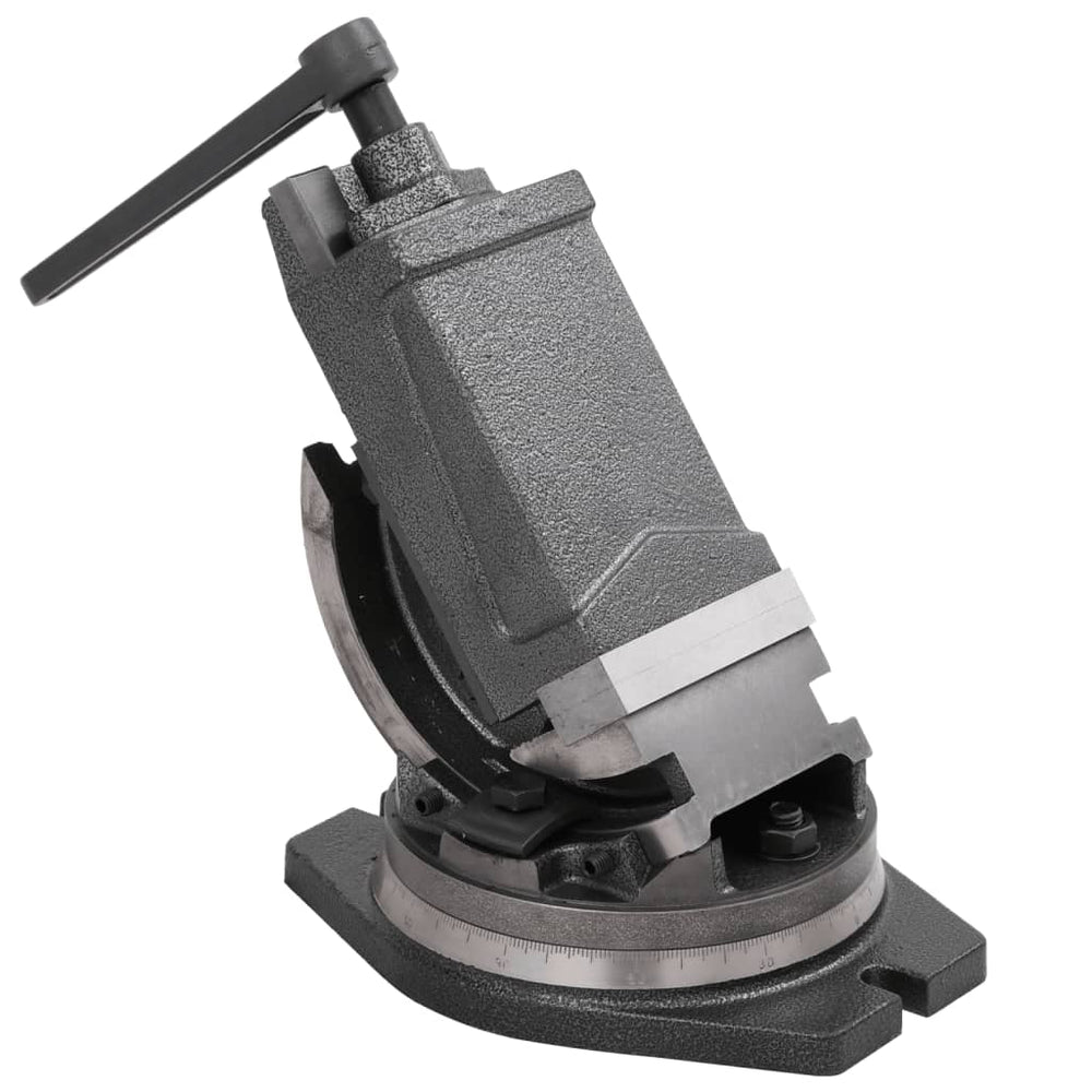 2-Achsen-Schraubstock Kippbar 100 mm