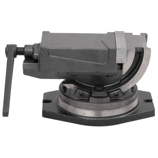 2-Achsen-Schraubstock Kippbar 100 mm