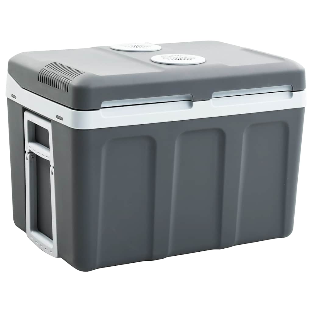 Thermoelektrische Kühlbox 40L Mobil