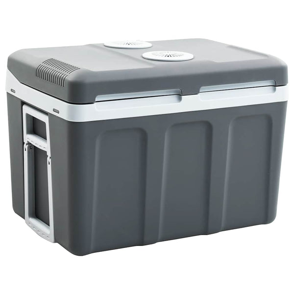 Thermoelektrische Kühlbox 40L Mobil