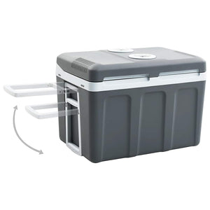 Thermoelektrische Kühlbox 40L Mobil