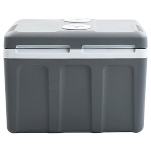 Thermoelektrische Kühlbox 40L Mobil