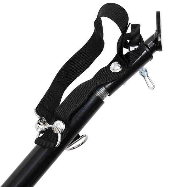 2-in-1 Hunde Fahrradanhänger & Buggy