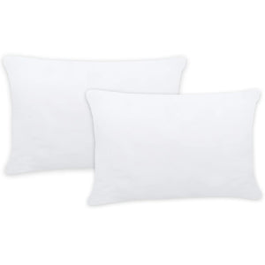 vidaXL Garnissage de coussin 2 pcs 60 x 40 cm Blanc