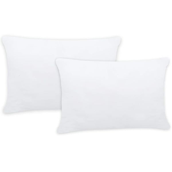 vidaXL Garnissage de coussin 2 pcs 60 x 40 cm Blanc