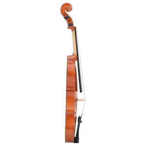 4/4 Violine Komplettset Dunkles Holz