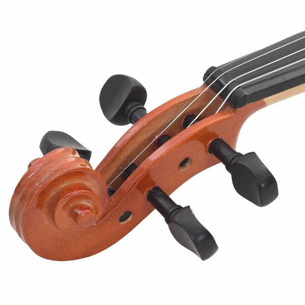 4/4 Violine Komplettset Dunkles Holz