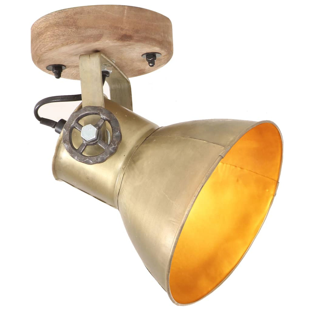 Industrielle Wand- und Deckenlampen Messing 2er-Set