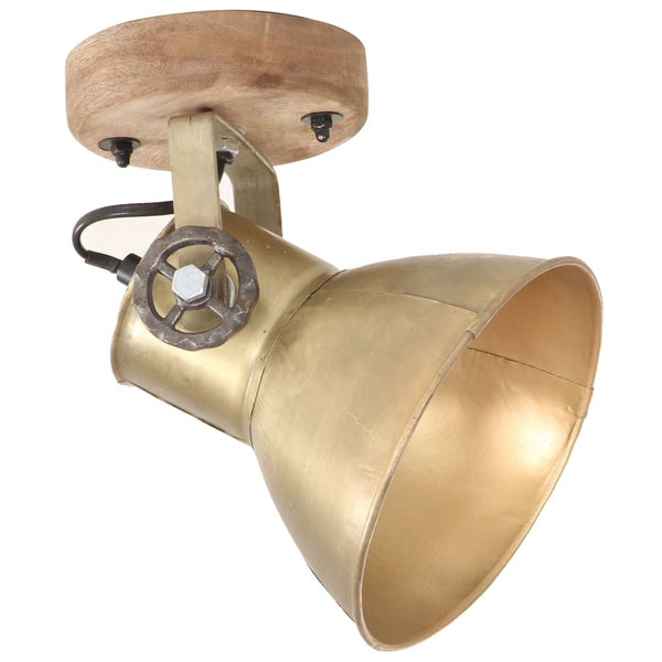 Industrielle Wand- und Deckenlampen Messing 2er-Set