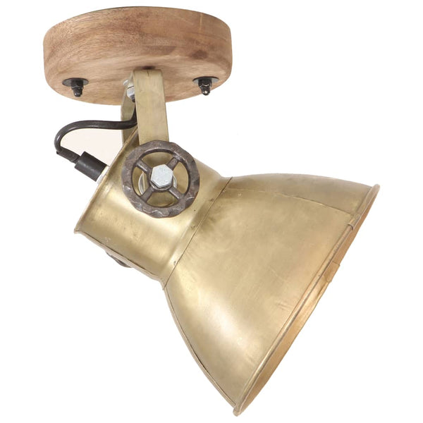 Industrielle Wand- und Deckenlampen Messing 2er-Set
