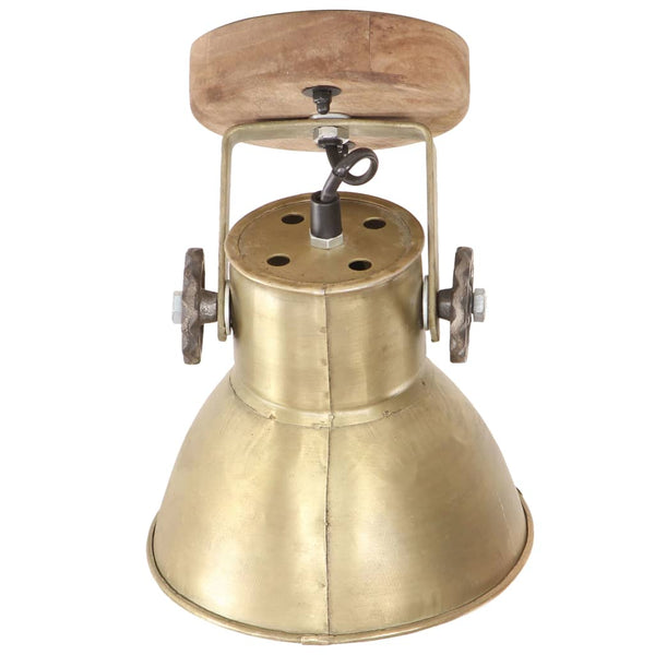 Industrielle Wand- und Deckenlampen Messing 2er-Set