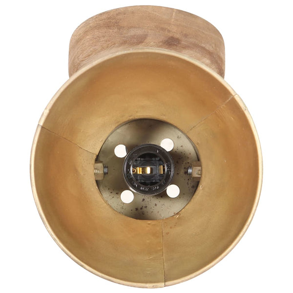 Industrielle Wand- und Deckenlampen Messing 2er-Set