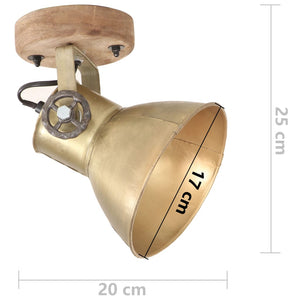 Industrielle Wand- und Deckenlampen Messing 2er-Set