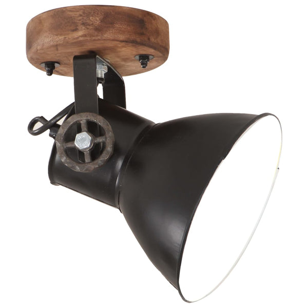 Industrie Wandleuchten/Deckenleuchten Schwarz 2er-Set
