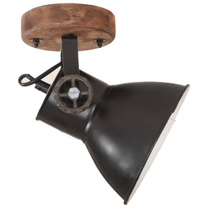 Industrie Wandleuchten/Deckenleuchten Schwarz 2er-Set