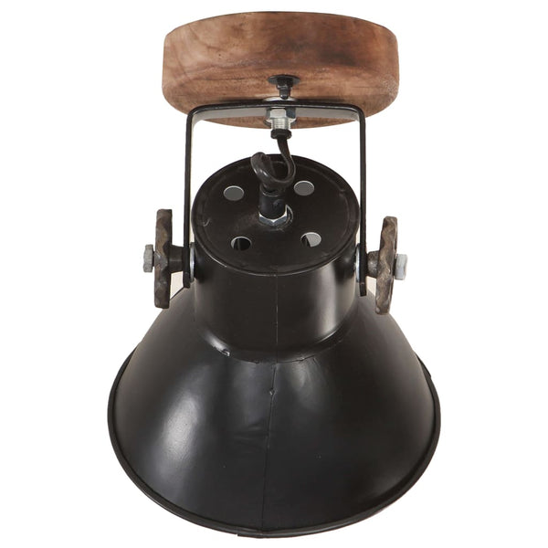 Industrie Wandleuchten/Deckenleuchten Schwarz 2er-Set