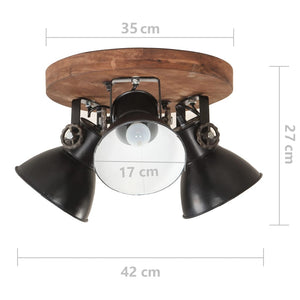 Industrielle Deckenlampe Schwarz E27