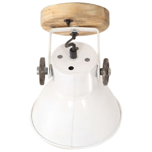 Industrie Wand- und Deckenlampen, Weiß, 2er Set