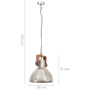 Industrie Hängelampe Silber 30cm E27