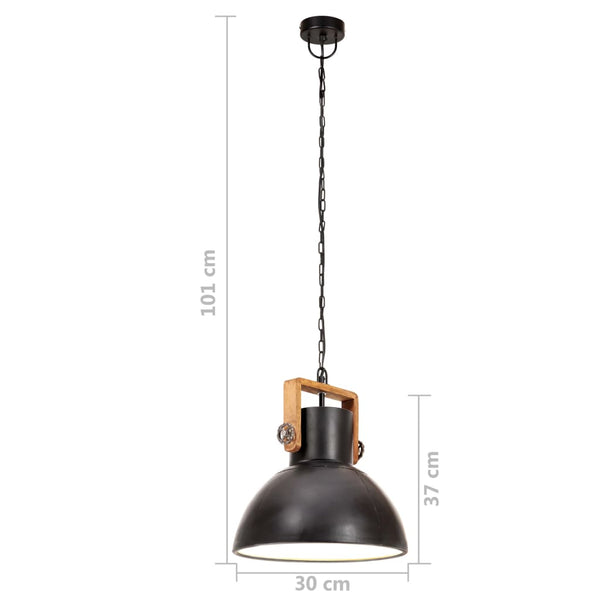 Industrie Hängelampe Schwarz 30cm E27