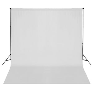 Fotostudio-Set mit Softboxen und Hintergrundsystem