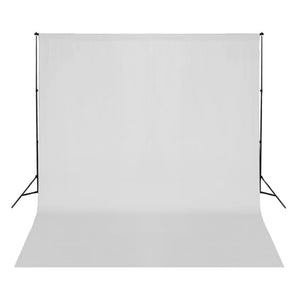 Fotostudio-Set mit Softboxen und Hintergrundsystem