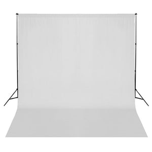 Fotostudio-Set mit Lampen-Set und Hintergrund