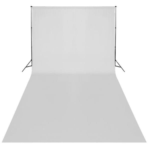 Fotostudio-Set mit Lampen und Hintergrundsystem
