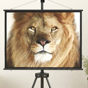 vidaXL Écran de projection 50" 4:3