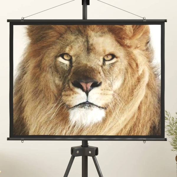 vidaXL Écran de projection 50" 4:3
