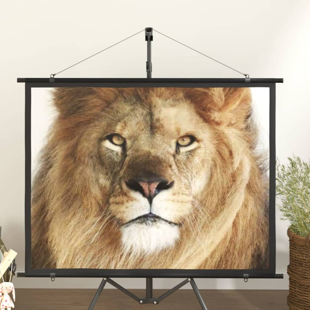 60 Zoll Beamer Leinwand 4:3