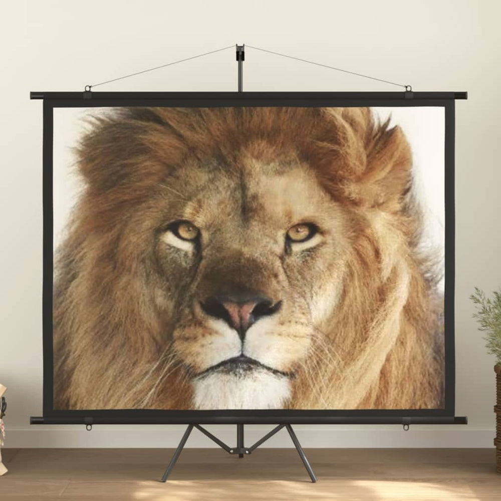 Beamer Leinwand 100 Zoll 4:3